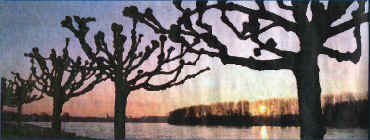 Wie steht der Mond, woher weht der Wind??